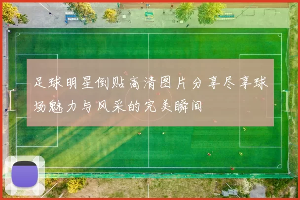 足球明星倒贴高清图片分享尽享球场魅力与风采的完美瞬间