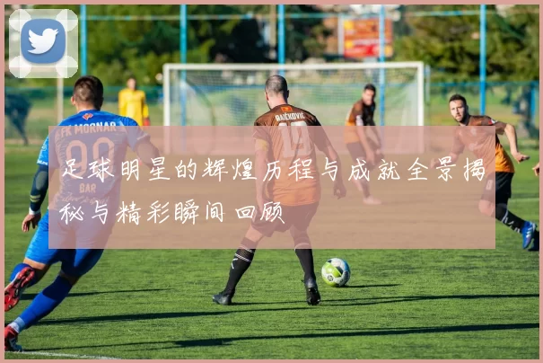 足球明星的辉煌历程与成就全景揭秘与精彩瞬间回顾