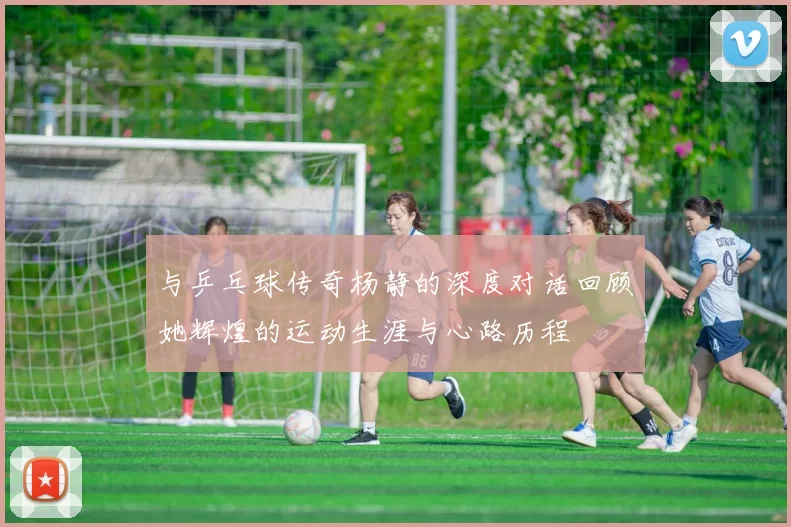 与乒乓球传奇杨静的深度对话回顾她辉煌的运动生涯与心路历程