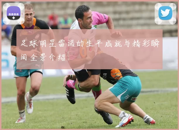 足球明星雷诺的生平成就与精彩瞬间全景介绍