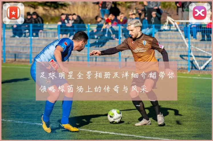 足球明星全景相册及详细介绍带你领略绿茵场上的传奇与风采