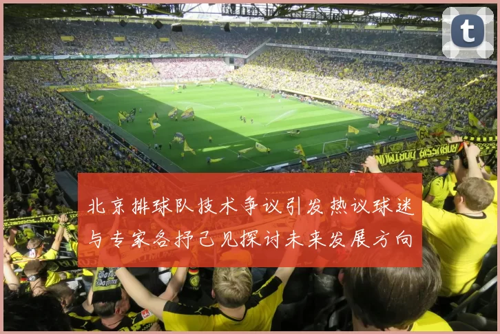 北京排球队技术争议引发热议球迷与专家各抒己见探讨未来发展方向