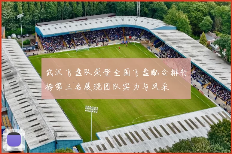 武汉飞盘队荣登全国飞盘配合排行榜第三名展现团队实力与风采