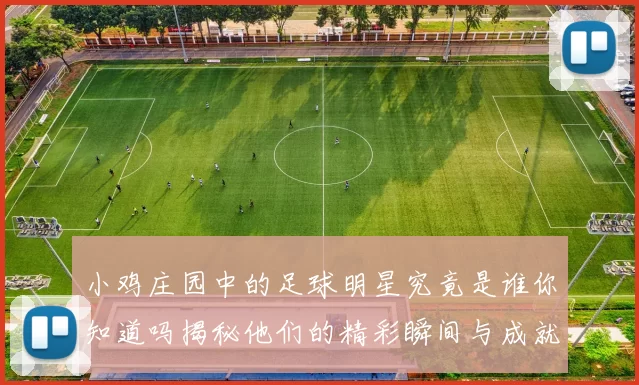 小鸡庄园中的足球明星究竟是谁你知道吗揭秘他们的精彩瞬间与成就