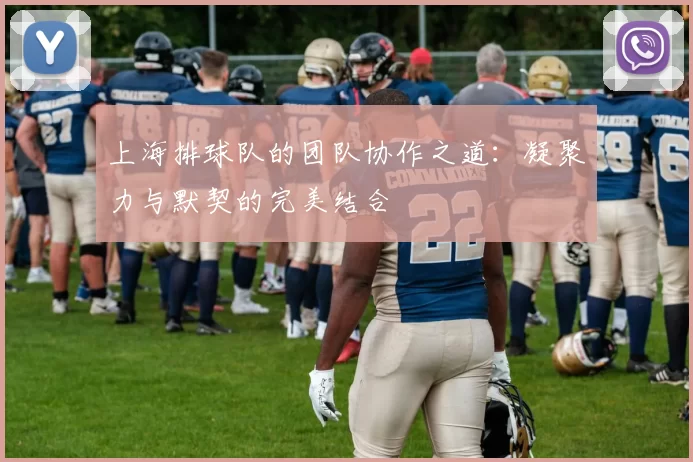上海排球队的团队协作之道：凝聚力与默契的完美结合