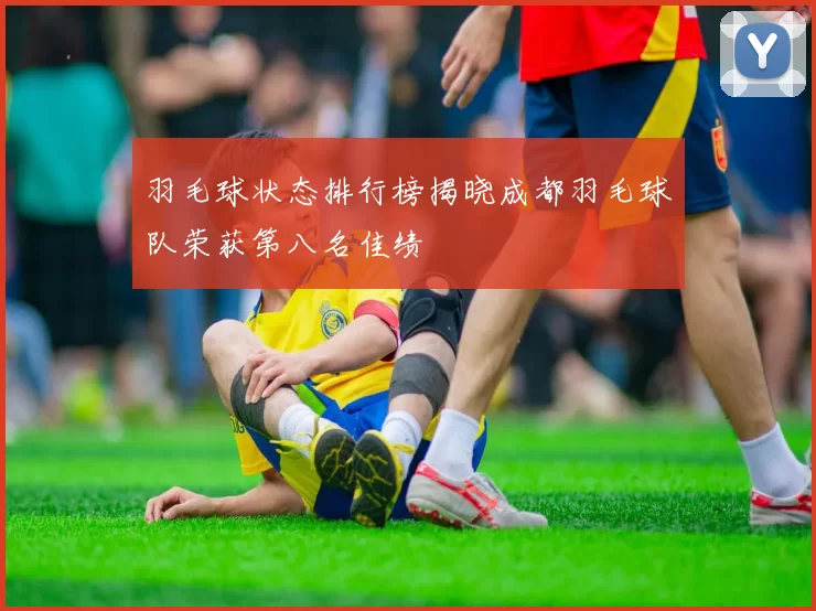 羽毛球状态排行榜揭晓成都羽毛球队荣获第八名佳绩
