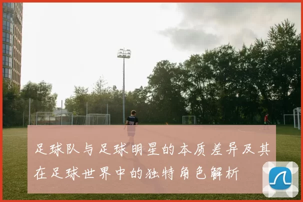 足球队与足球明星的本质差异及其在足球世界中的独特角色解析