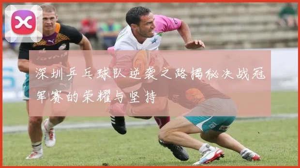 深圳乒乓球队逆袭之路揭秘决战冠军赛的荣耀与坚持