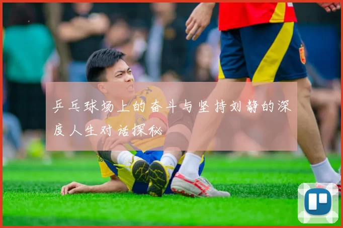 乒乓球场上的奋斗与坚持刘静的深度人生对话探秘