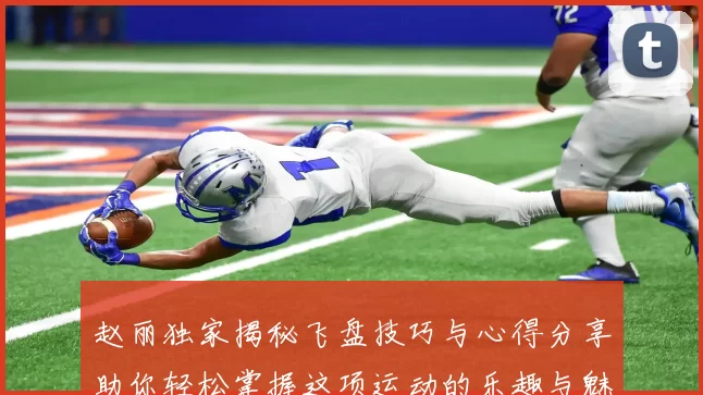 赵丽独家揭秘飞盘技巧与心得分享助你轻松掌握这项运动的乐趣与魅力
