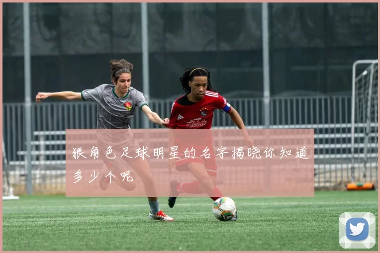 狠角色足球明星的名字揭晓你知道多少个呢