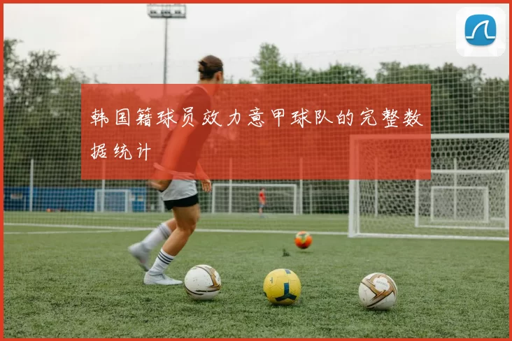 韩国籍球员效力意甲球队的完整数据统计