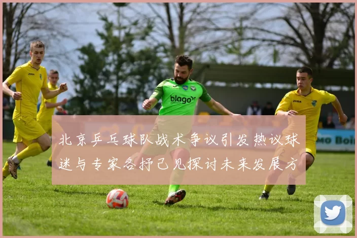 北京乒乓球队战术争议引发热议球迷与专家各抒己见探讨未来发展方向