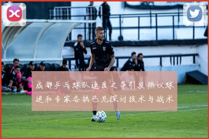 成都乒乓球队速度之争引发热议球迷和专家各执己见探讨技术与战术