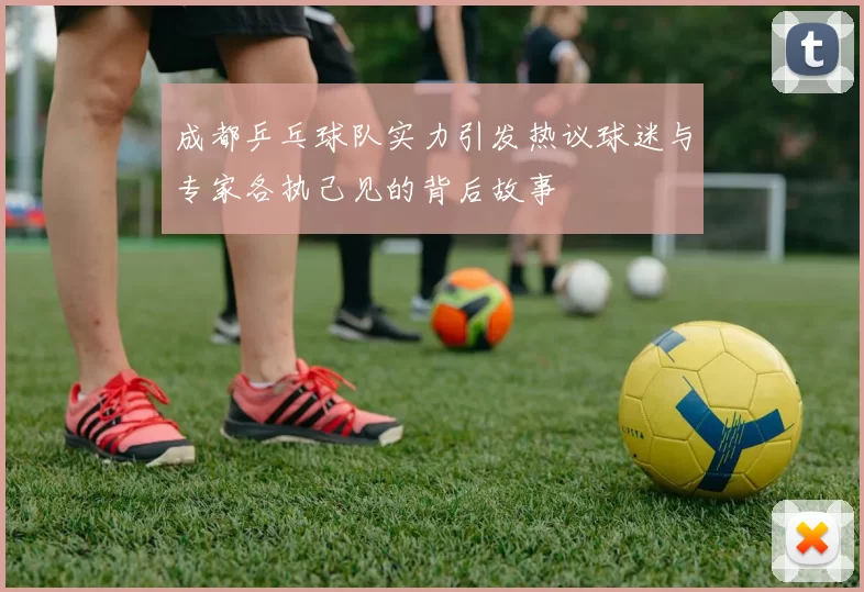 成都乒乓球队实力引发热议球迷与专家各执己见的背后故事