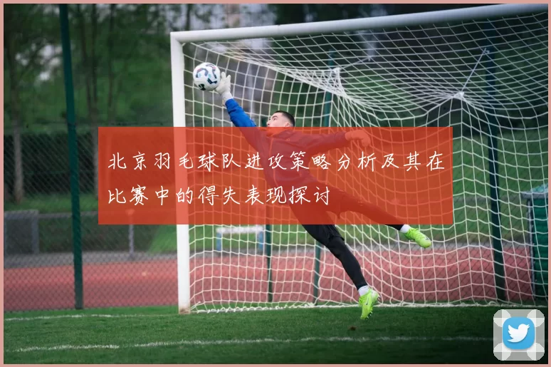 北京羽毛球队进攻策略分析及其在比赛中的得失表现探讨
