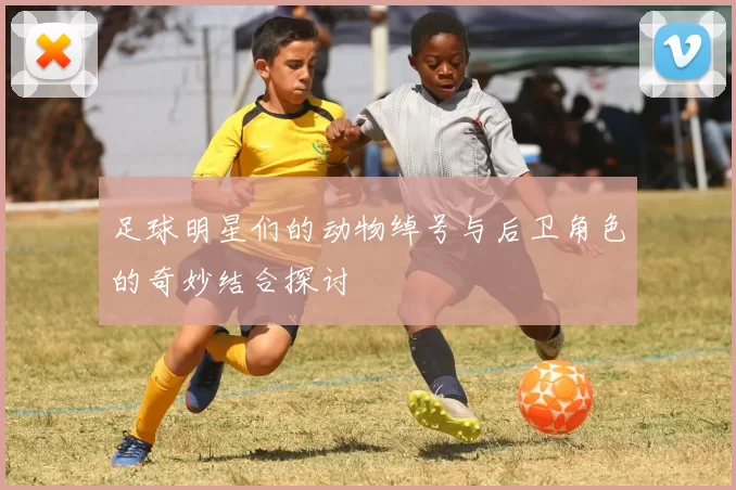 足球明星们的动物绰号与后卫角色的奇妙结合探讨