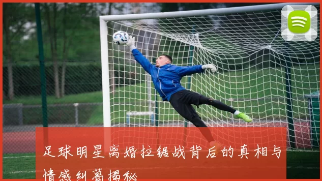 足球明星离婚拉锯战背后的真相与情感纠葛揭秘