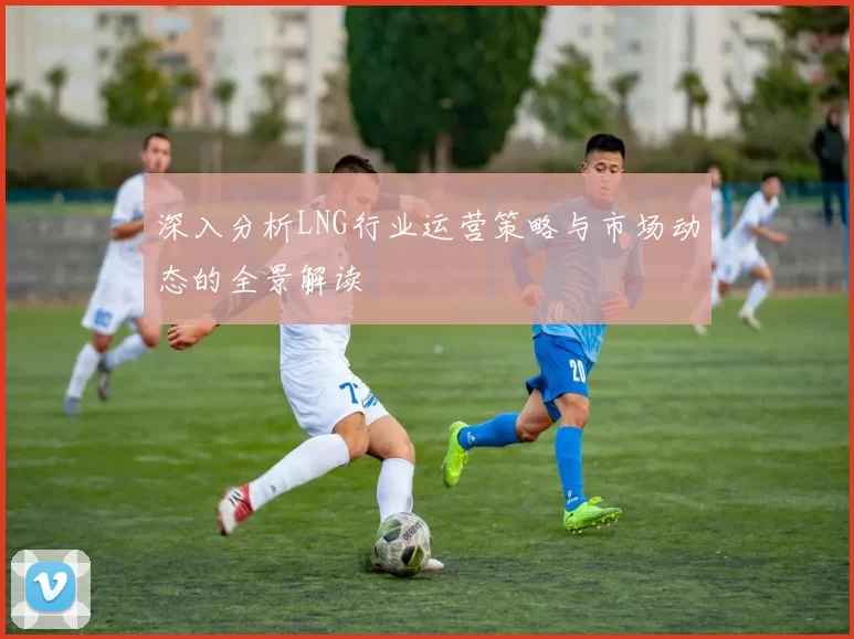 深入分析LNG行业运营策略与市场动态的全景解读