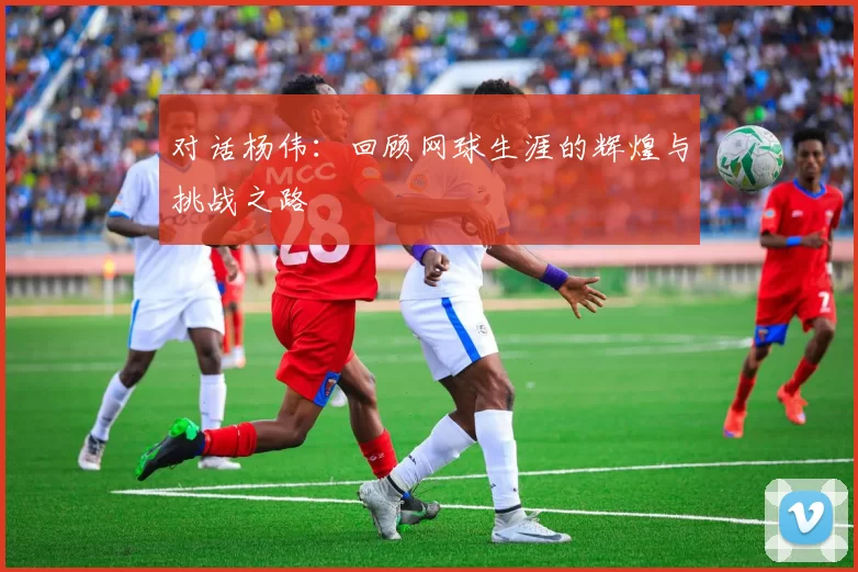 对话杨伟：回顾网球生涯的辉煌与挑战之路