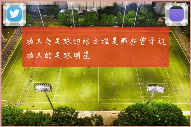 功夫与足球的结合谁是那些曾学过功夫的足球明星