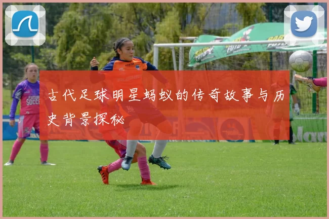 古代足球明星蚂蚁的传奇故事与历史背景探秘