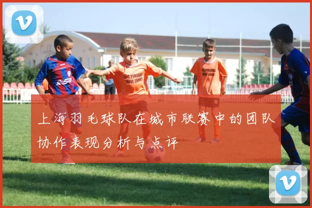 上海羽毛球队在城市联赛中的团队协作表现分析与点评