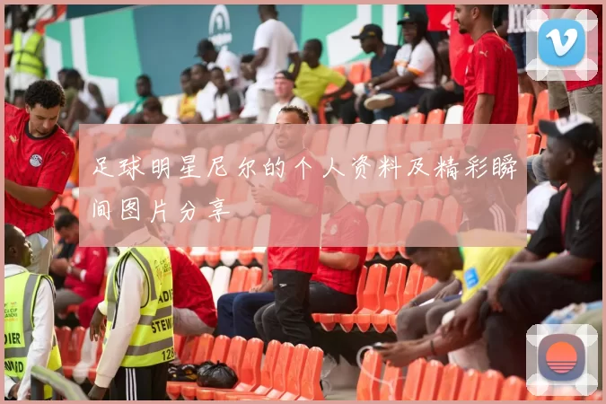 足球明星尼尔的个人资料及精彩瞬间图片分享