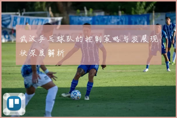 武汉乒乓球队的控制策略与发展现状深度解析