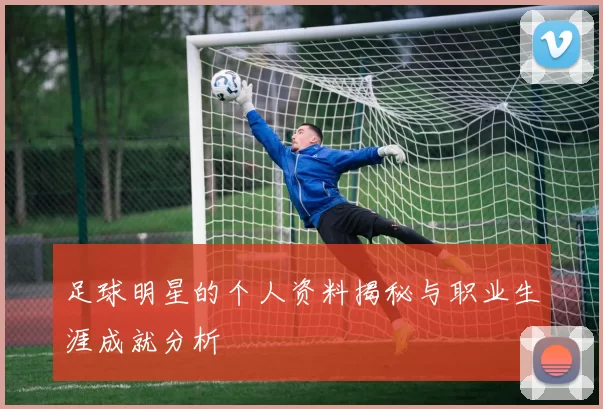 足球明星的个人资料揭秘与职业生涯成就分析