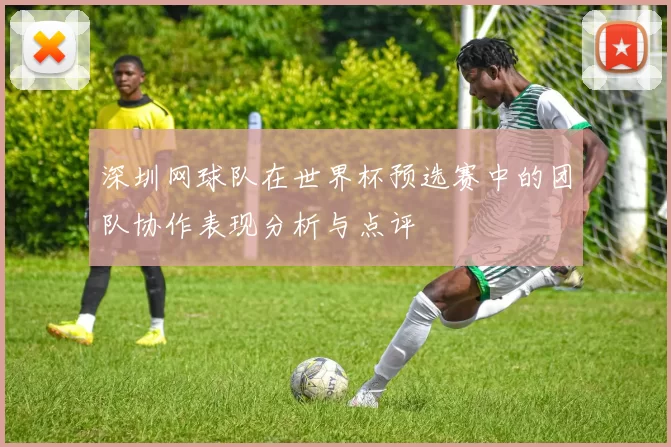 深圳网球队在世界杯预选赛中的团队协作表现分析与点评