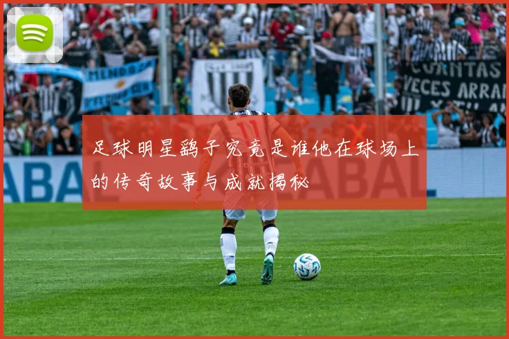 足球明星鹞子究竟是谁他在球场上的传奇故事与成就揭秘