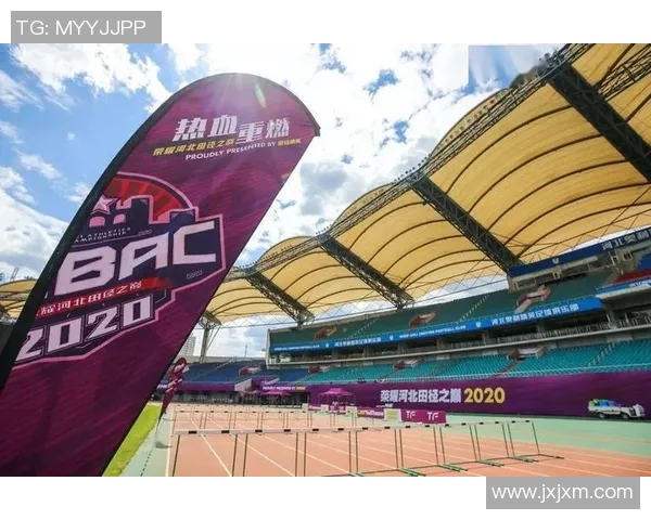 北京排球队崛起之路世界锦标赛背后的奋斗与荣耀 北京排球队崛起之路世界锦标赛背后的奋斗与荣耀