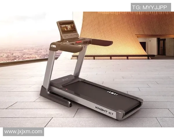 辉煌健身器材公司背景与产品评价总结